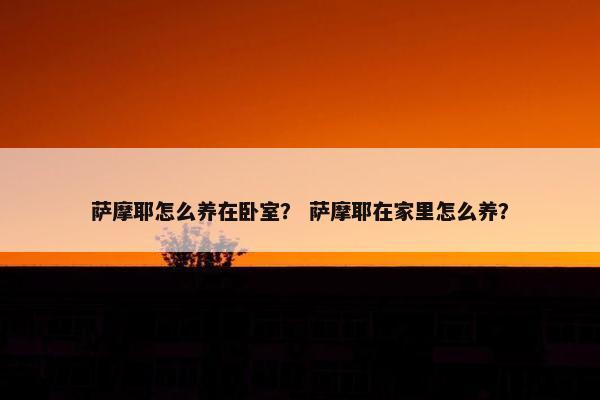 萨摩耶怎么养在卧室？ 萨摩耶在家里怎么养？