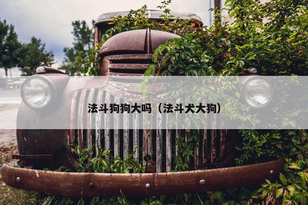 法斗狗狗大吗（法斗犬大狗）