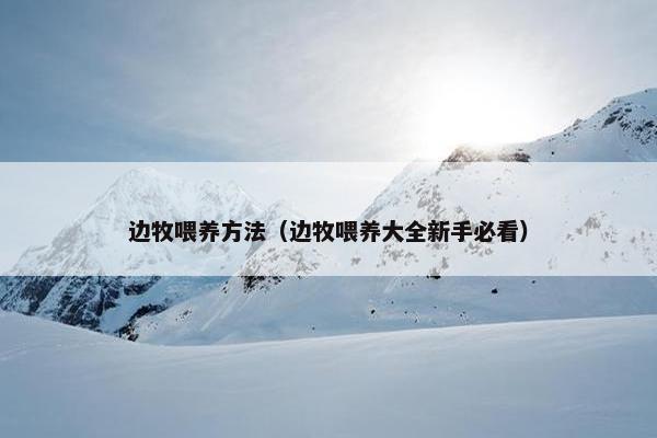 边牧喂养方法（边牧喂养大全新手必看）