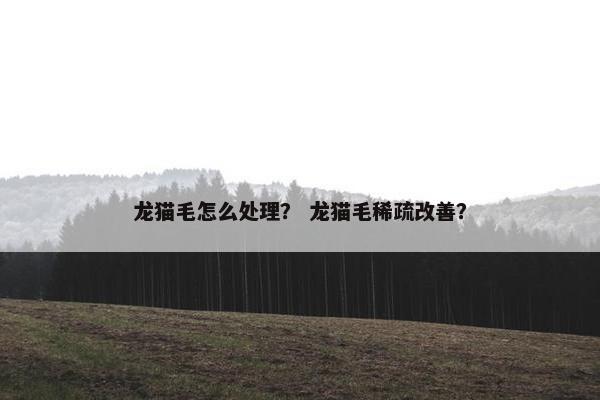 龙猫毛怎么处理？ 龙猫毛稀疏改善？