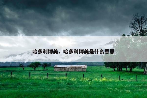 哈多利博美，哈多利博美是什么意思