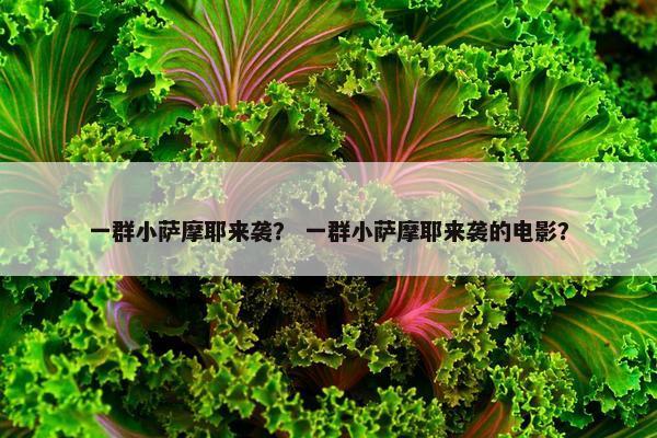一群小萨摩耶来袭？ 一群小萨摩耶来袭的电影？
