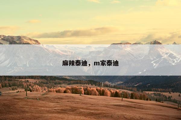 麻辣泰迪，m家泰迪