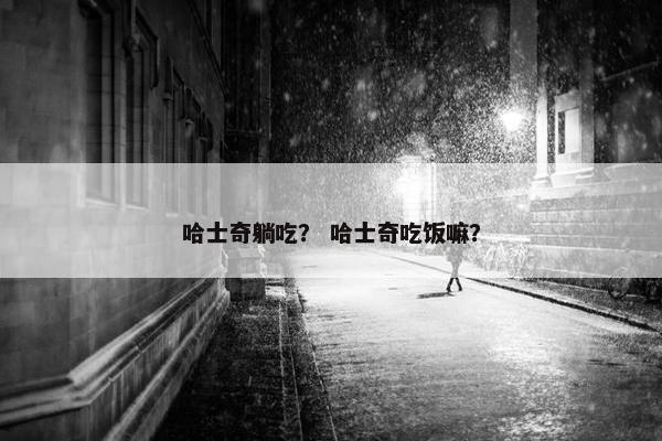 哈士奇躺吃？ 哈士奇吃饭嘛？