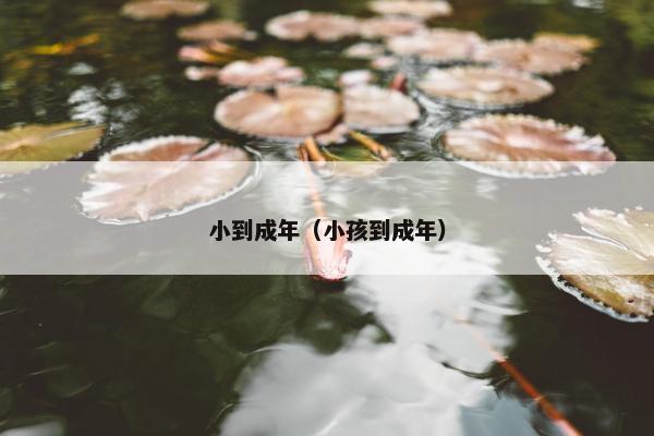 小到成年（小孩到成年）