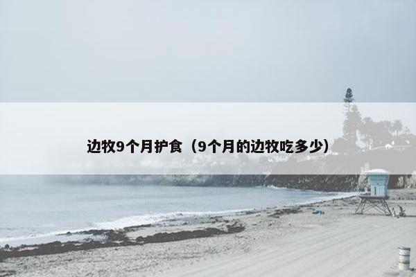 边牧9个月护食（9个月的边牧吃多少）