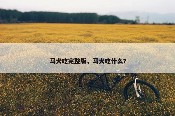 马犬吃完整版，马犬吃什么?