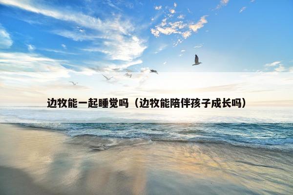 边牧能一起睡觉吗（边牧能陪伴孩子成长吗）
