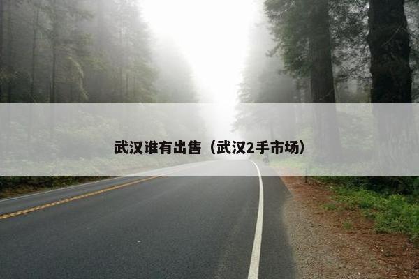 武汉谁有出售（武汉2手市场）