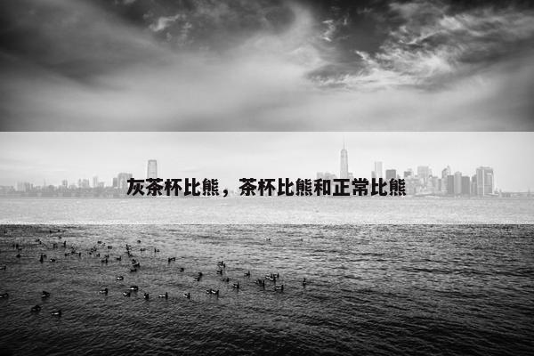 灰茶杯比熊，茶杯比熊和正常比熊