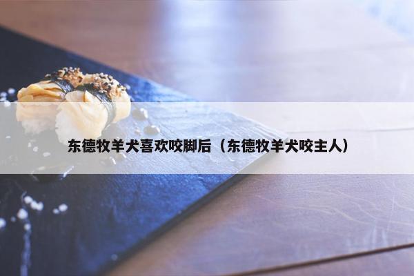 东德牧羊犬喜欢咬脚后（东德牧羊犬咬主人）