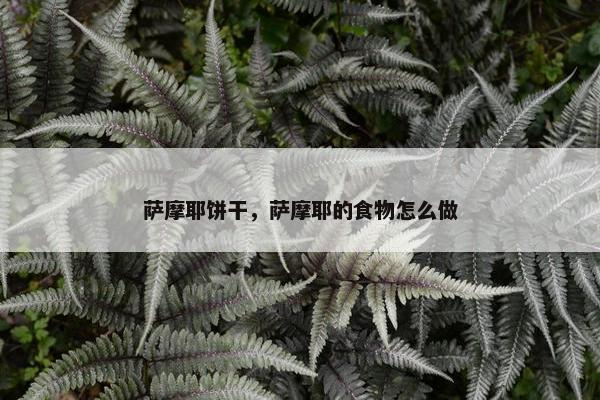 萨摩耶饼干，萨摩耶的食物怎么做
