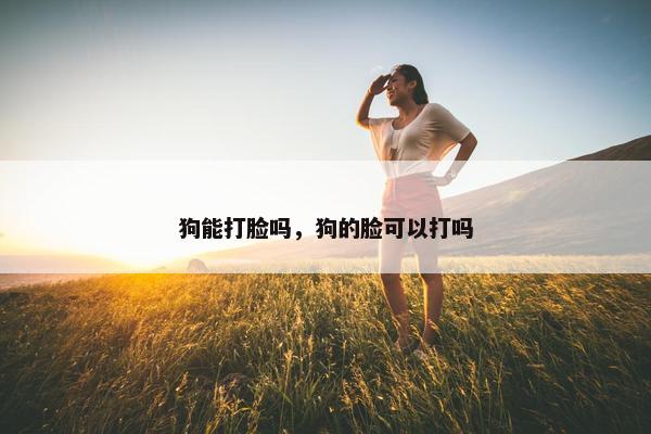 狗能打脸吗，狗的脸可以打吗