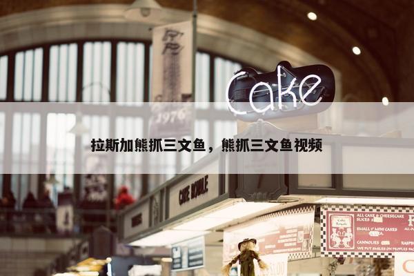拉斯加熊抓三文鱼，熊抓三文鱼视频