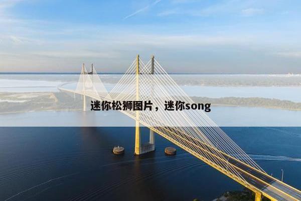 迷你松狮图片，迷你song