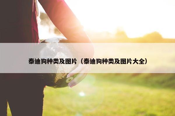 泰迪狗种类及图片（泰迪狗种类及图片大全）