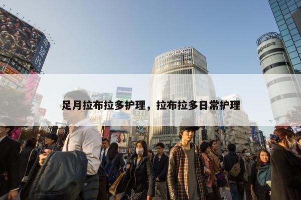 足月拉布拉多护理，拉布拉多日常护理