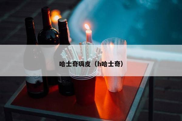 哈士奇嗨皮（h哈士奇）