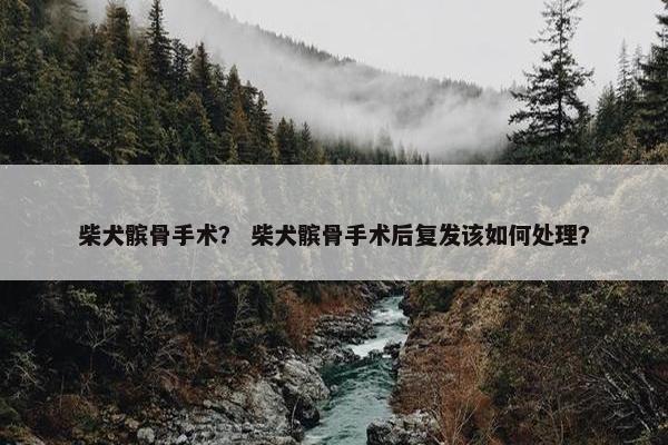 柴犬髌骨手术？ 柴犬髌骨手术后复发该如何处理？