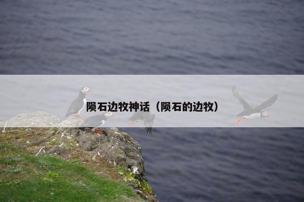 陨石边牧神话（陨石的边牧）