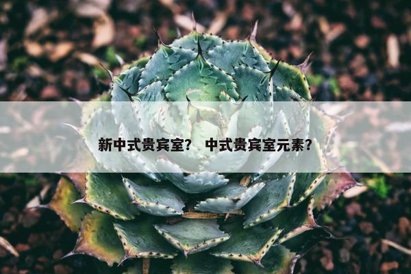 新中式贵宾室？ 中式贵宾室元素？