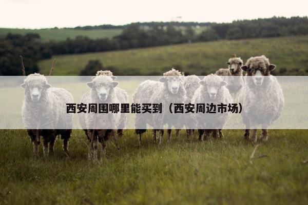 西安周围哪里能买到（西安周边市场）