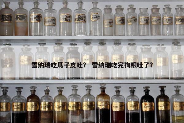 雪纳瑞吃瓜子皮吐？ 雪纳瑞吃完狗粮吐了？