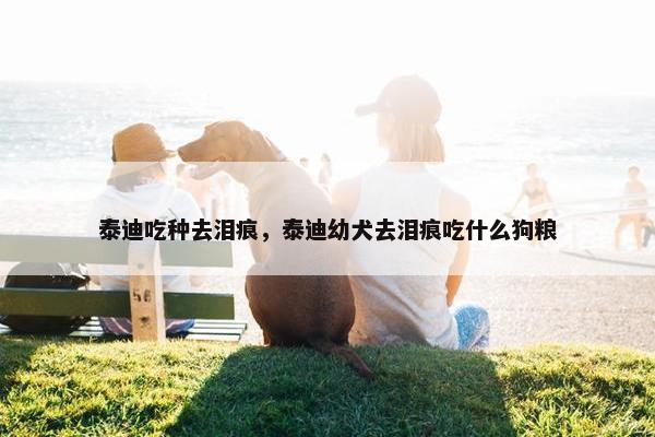 泰迪吃种去泪痕，泰迪幼犬去泪痕吃什么狗粮