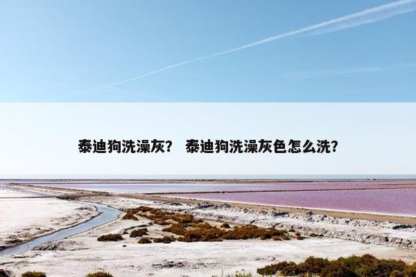 泰迪狗洗澡灰？ 泰迪狗洗澡灰色怎么洗？