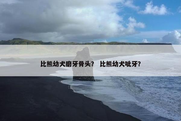 比熊幼犬磨牙骨头？ 比熊幼犬呲牙？