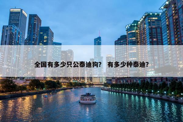 全国有多少只公泰迪狗？ 有多少种泰迪？