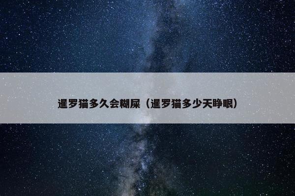 暹罗猫多久会糊屎（暹罗猫多少天睁眼）