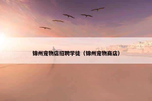 锦州宠物店招聘学徒（锦州宠物商店）