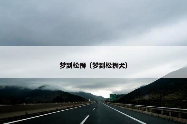 梦到松狮（梦到松狮犬）