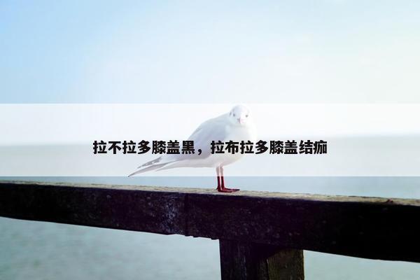 拉不拉多膝盖黑，拉布拉多膝盖结痂