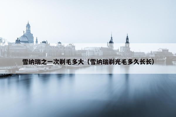 雪纳瑞之一次剃毛多大（雪纳瑞剃光毛多久长长）