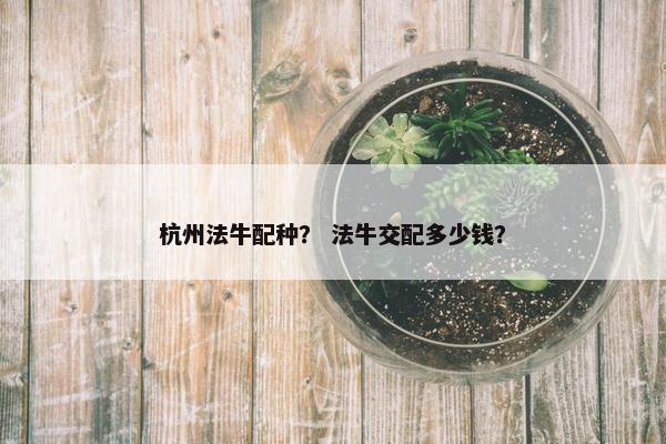 杭州法牛配种？ 法牛交配多少钱？