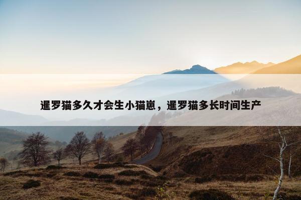 暹罗猫多久才会生小猫崽，暹罗猫多长时间生产