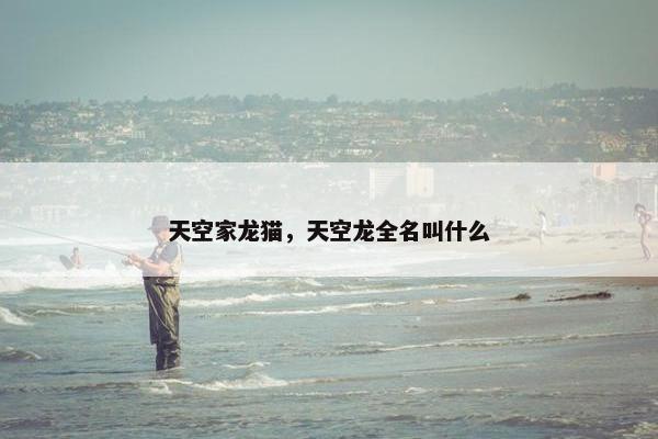 天空家龙猫，天空龙全名叫什么