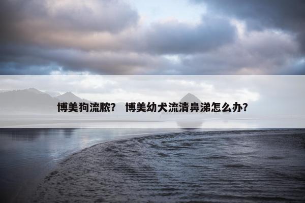 博美狗流脓？ 博美幼犬流清鼻涕怎么办？