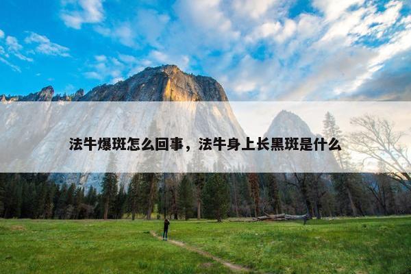 法牛爆斑怎么回事，法牛身上长黑斑是什么