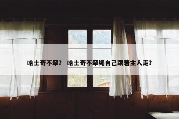 哈士奇不牵？ 哈士奇不牵绳自己跟着主人走？