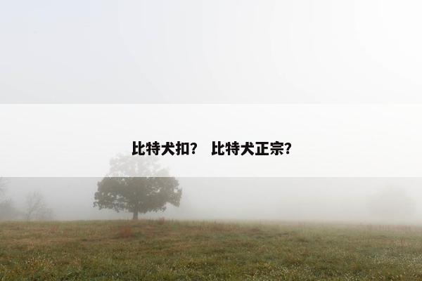 比特犬扣？ 比特犬正宗？
