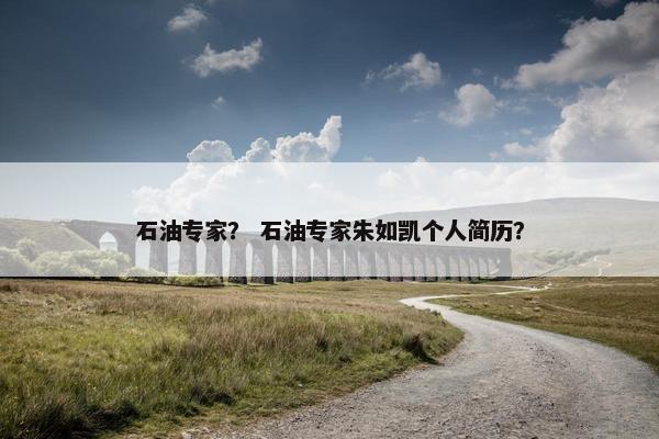 石油专家？ 石油专家朱如凯个人简历？