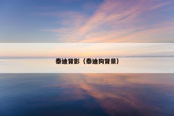 泰迪背影（泰迪狗背景）