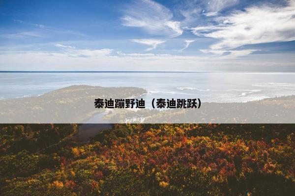 泰迪蹦野迪（泰迪跳跃）