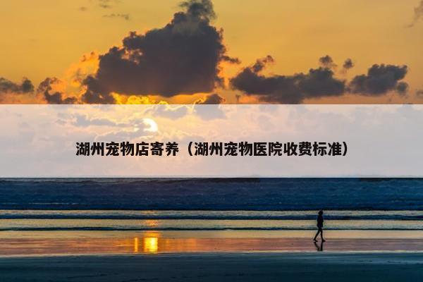 湖州宠物店寄养（湖州宠物医院收费标准）
