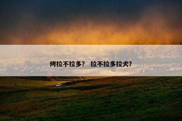烤拉不拉多？ 拉不拉多拉犬？