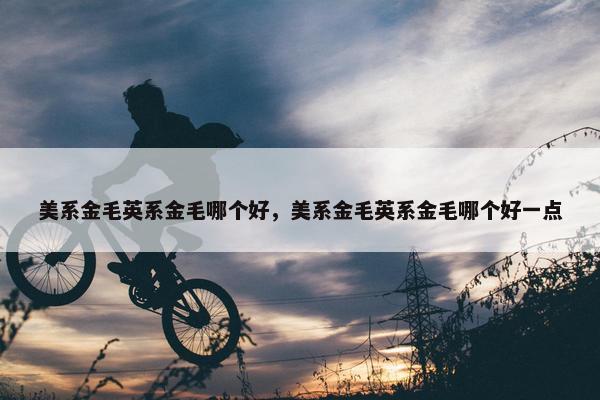 美系金毛英系金毛哪个好，美系金毛英系金毛哪个好一点