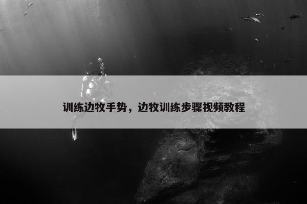 训练边牧手势，边牧训练步骤视频教程